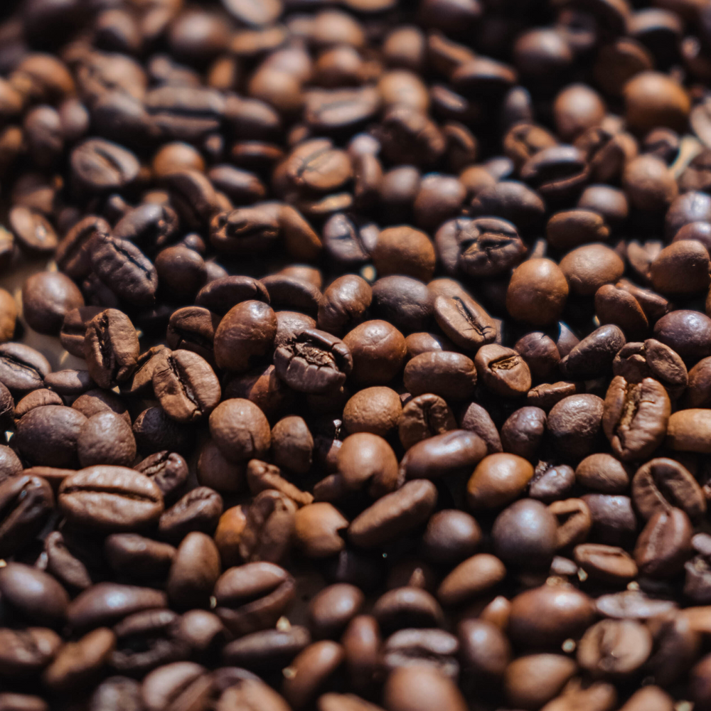 close up of roasted coffee beans