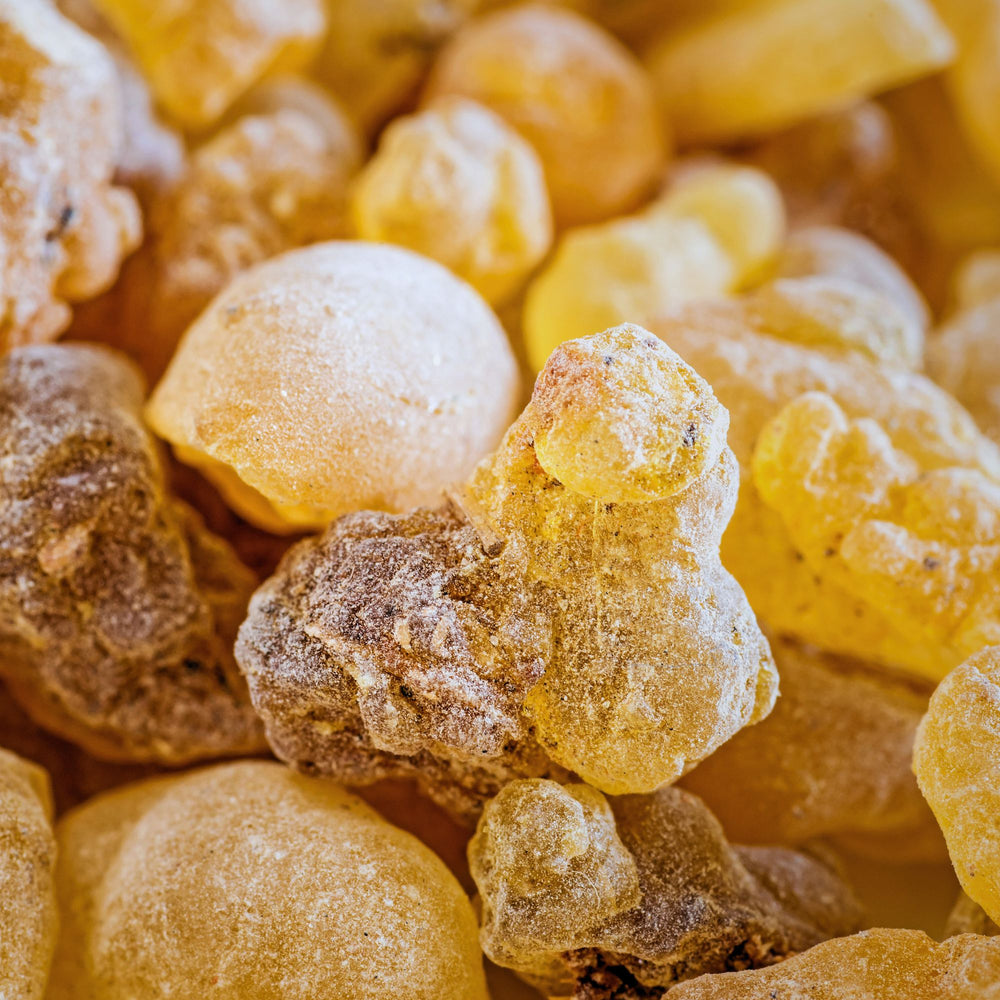 close up of frankincense resin nuggets