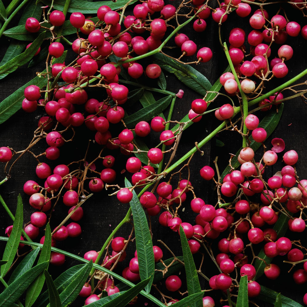 
                      
                        fresh pink peppercorns and greenery on a black background
                      
                    