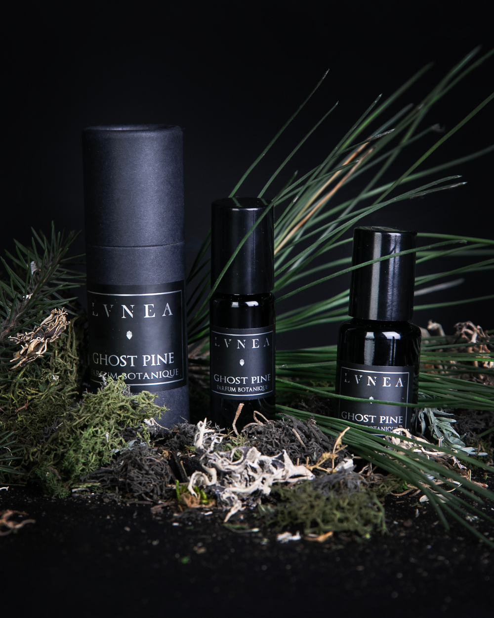 10ml and 20ml black glass rollerball bottles of LVNEA's best-selling 'Ghost Pine' oil-based fragrance, standing next to its black cardboard packaging. They are surrounded by fresh pine needles and moss