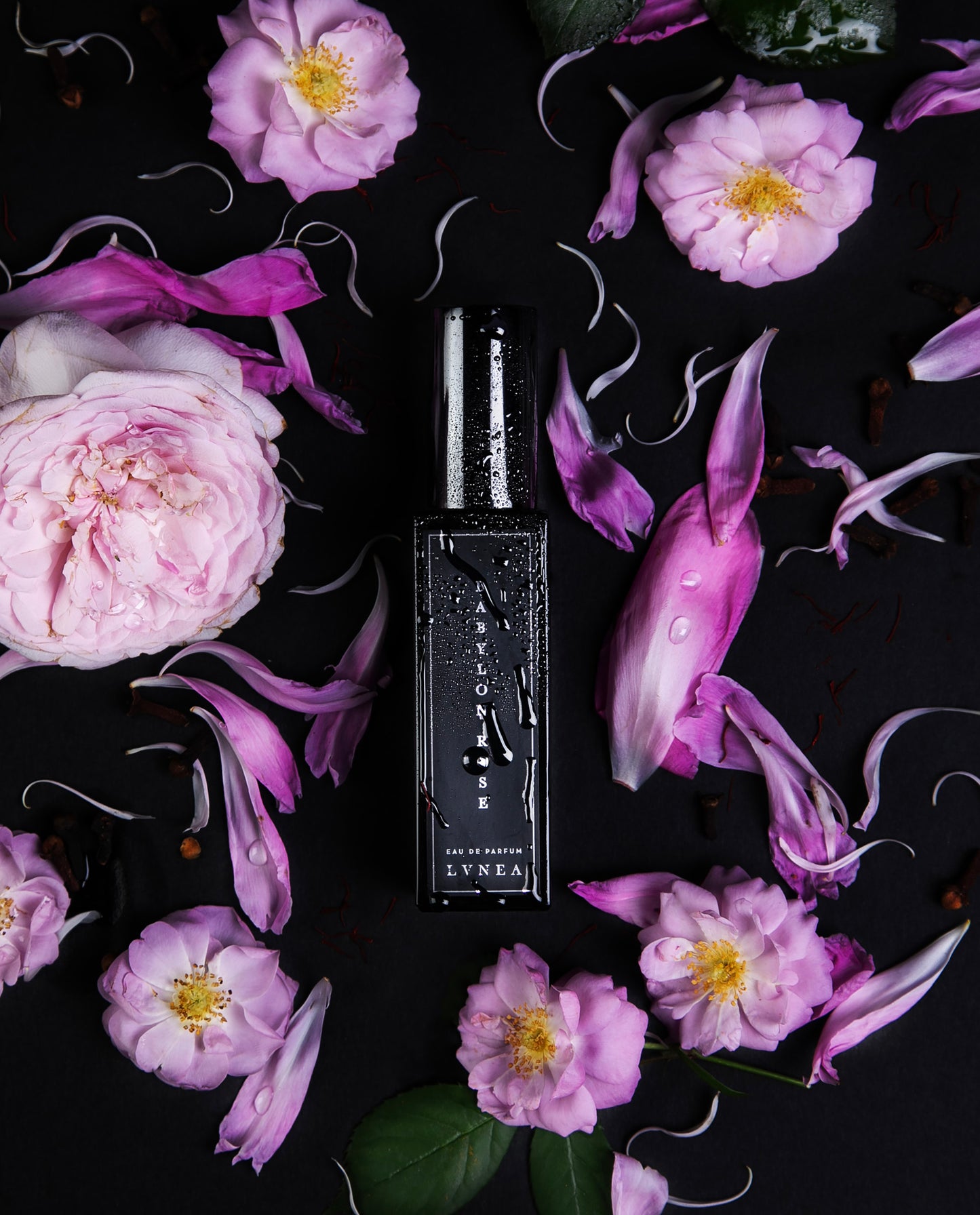 30ml black glass bottle of Babylon Rose, glistening with dew drops, surrounded by fresh roses and seen from overhead.