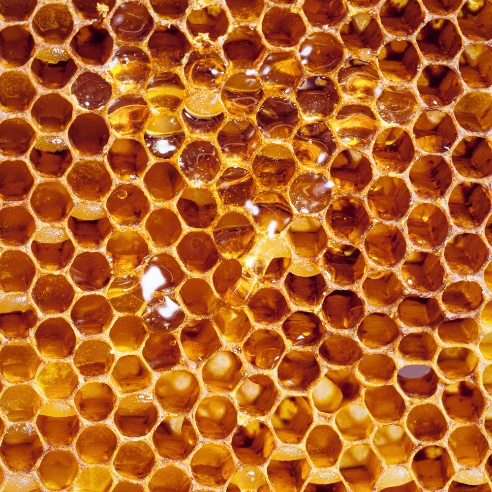 close up of honeycomb with honey dripping out of it