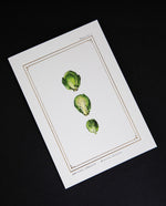 Cream-coloured greeting card with gold foil and illustration of brussel sprouts 