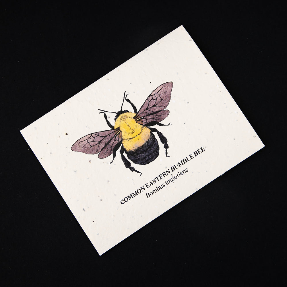 Greeting card with illustration of a common eastern bumblebee on it, printed of off-white plantable natural paper studded with wildflower seeds.