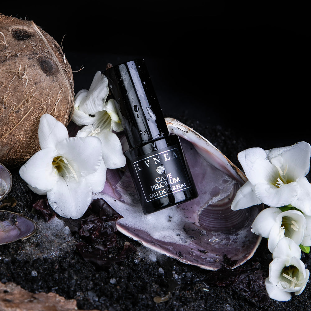 15ml black glass spray bottle of LVNEA's limited edition "Cape Pelorum" perfume, sitting on a bed of black sand, white florals, and seashells