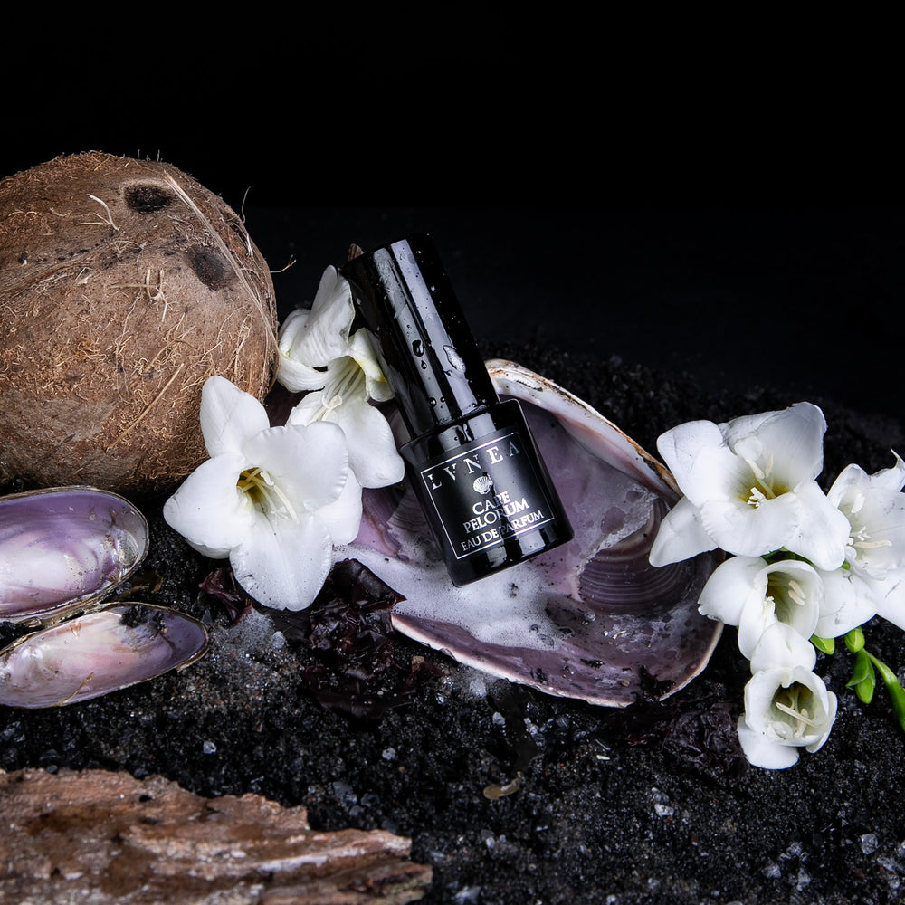 15ml black glass spray bottle of LVNEA's limited edition "Cape Pelorum" perfume, sitting on a bed of black sand, white florals, and seashells