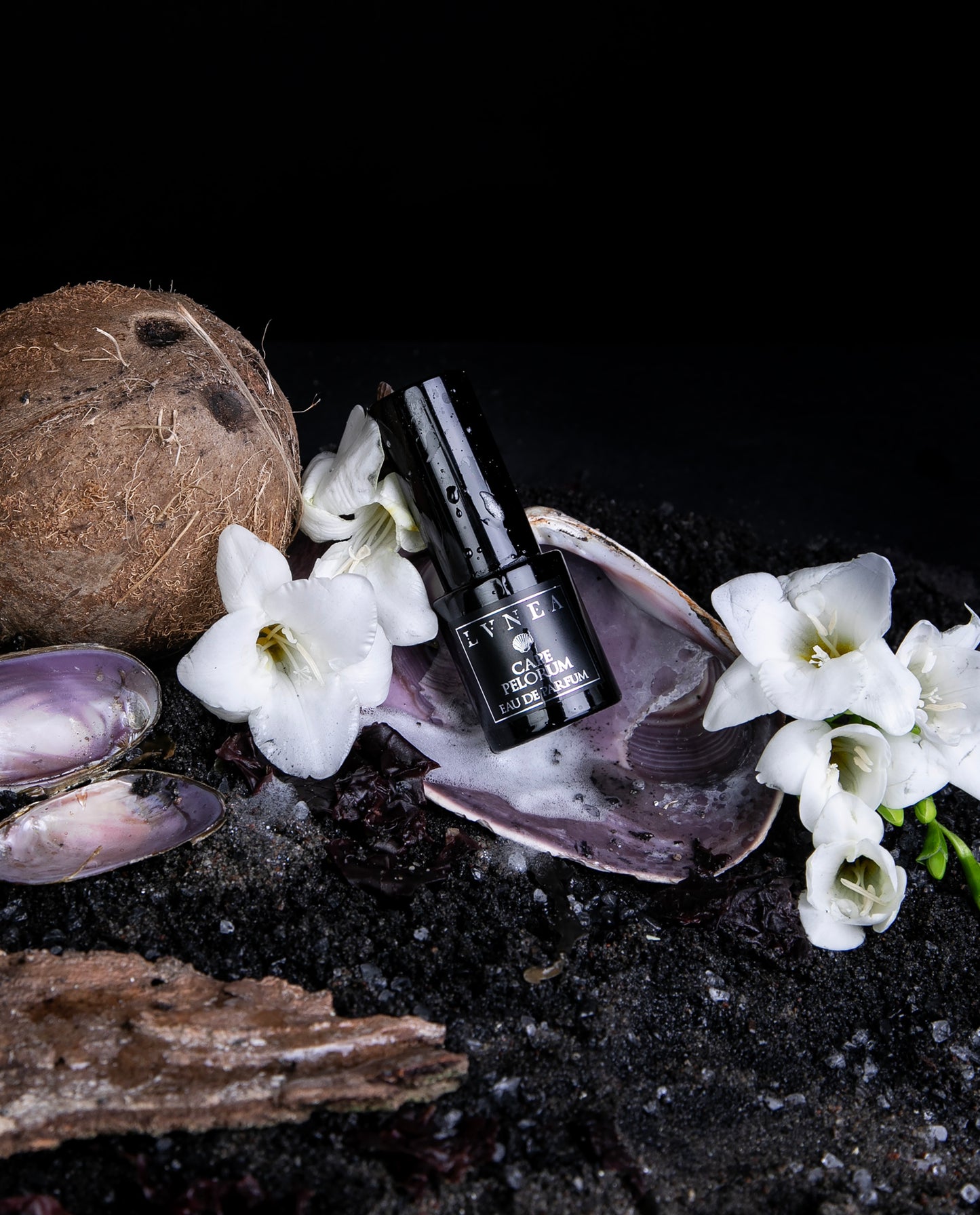 15ml black glass spray bottle of LVNEA's limited edition "Cape Pelorum" perfume, sitting on a bed of black sand, white florals, and seashells