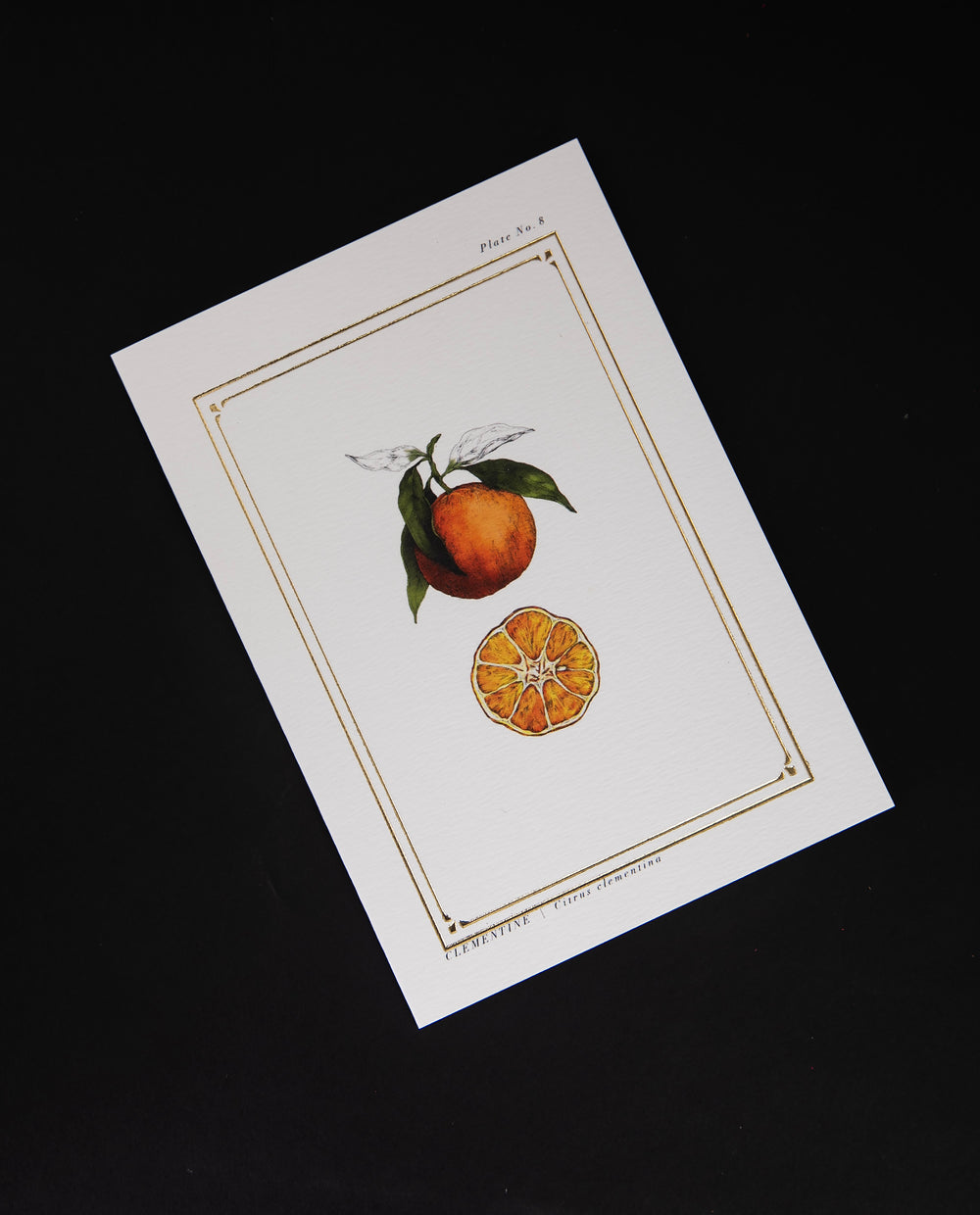 Clementine Greeting Card | CATHERINE LEWIS DESIGN