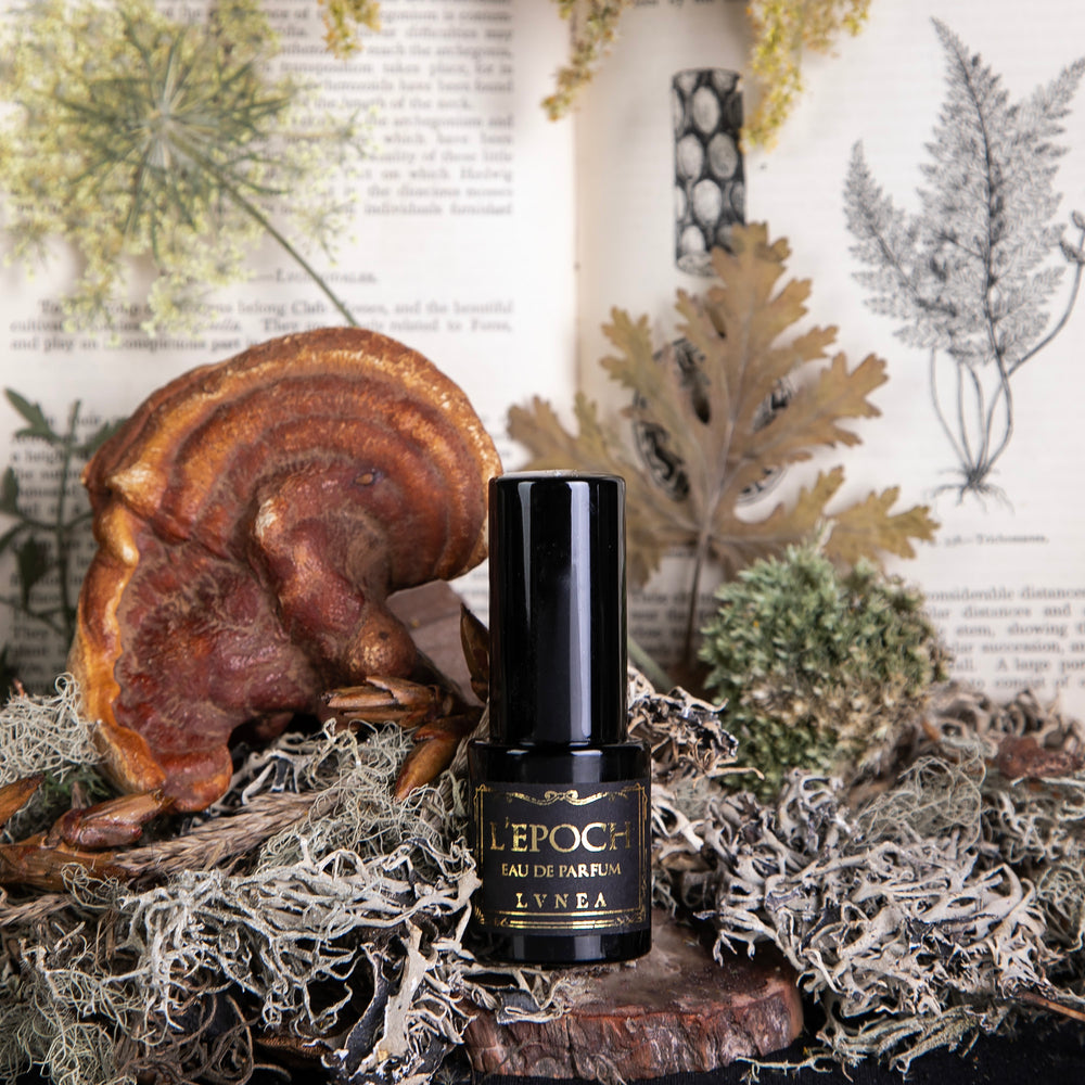 
                      
                        Close up of LVNEA's "Epoch" perfume in a black glass bottle, sitting in front of an old natural history book
                      
                    