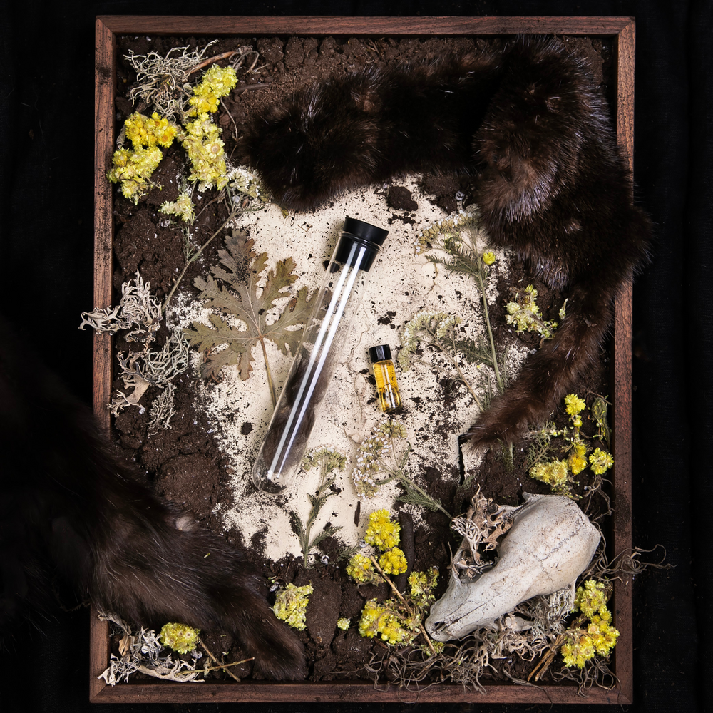 
                      
                        "Fur" diorama; an overhead still life of pelts, skulls, dried botanicals, and other specimens reminiscent of the "animalic" fragrance family.
                      
                    