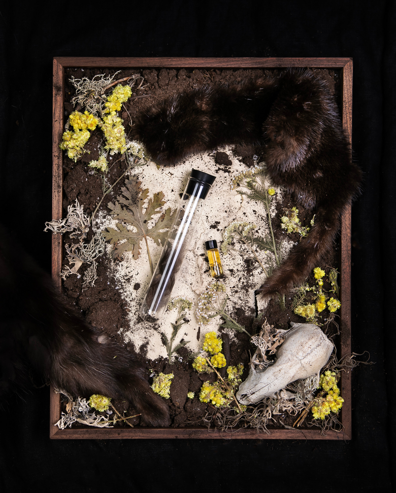 "Fur" diorama; an overhead still life of pelts, skulls, dried botanicals, and other specimens reminiscent of the "animalic" fragrance family.