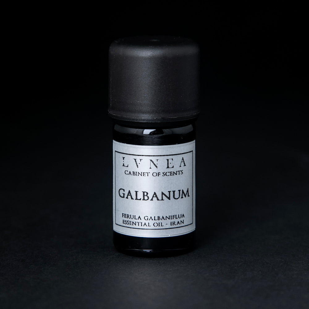 
                      
                        5ml bottle of LVNEA's galbanum essential oil on black background
                      
                    