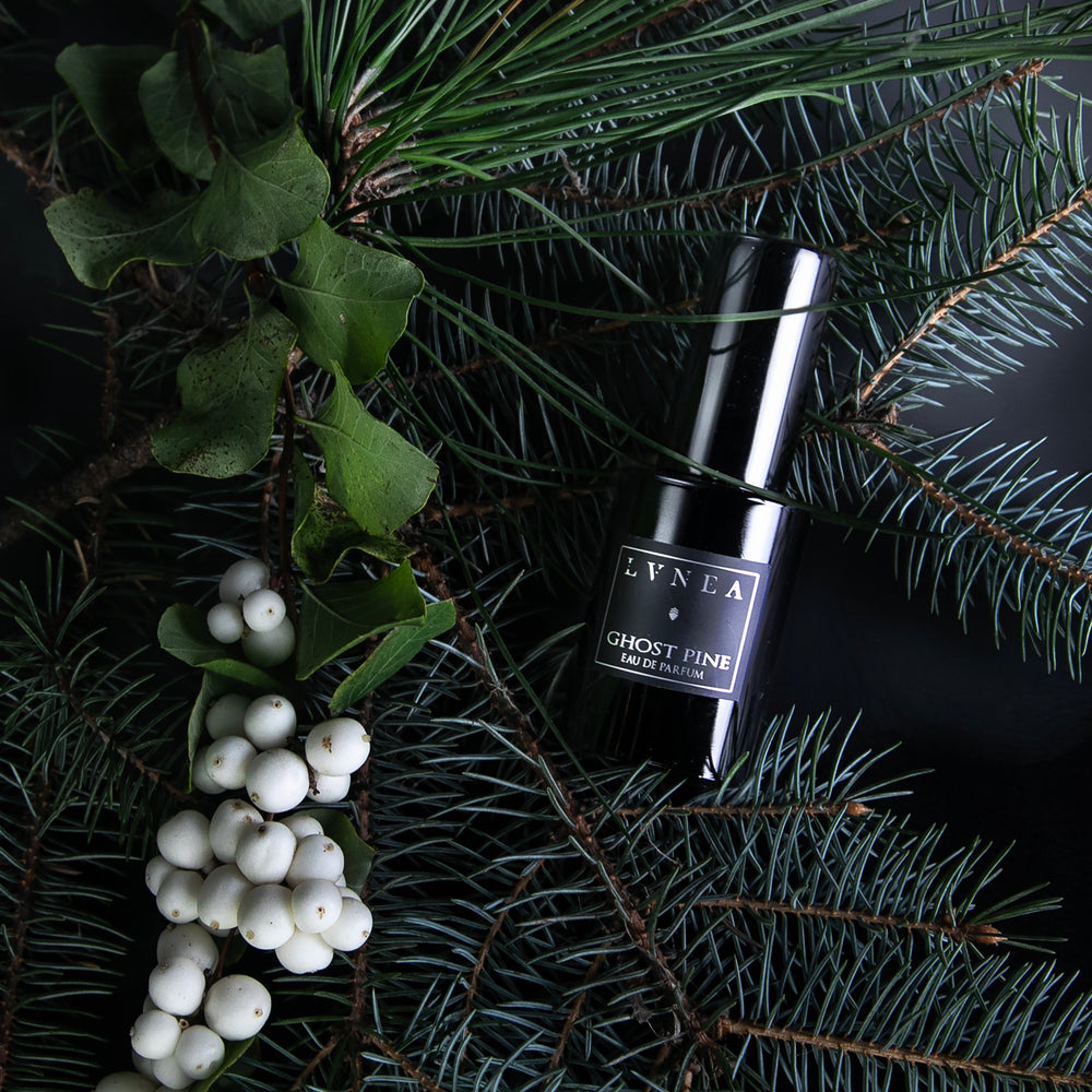 30ml black glass bottle of LVNEA's best-selling Ghost Pine fragrance, seen from above nestled in a bed of pine needles.