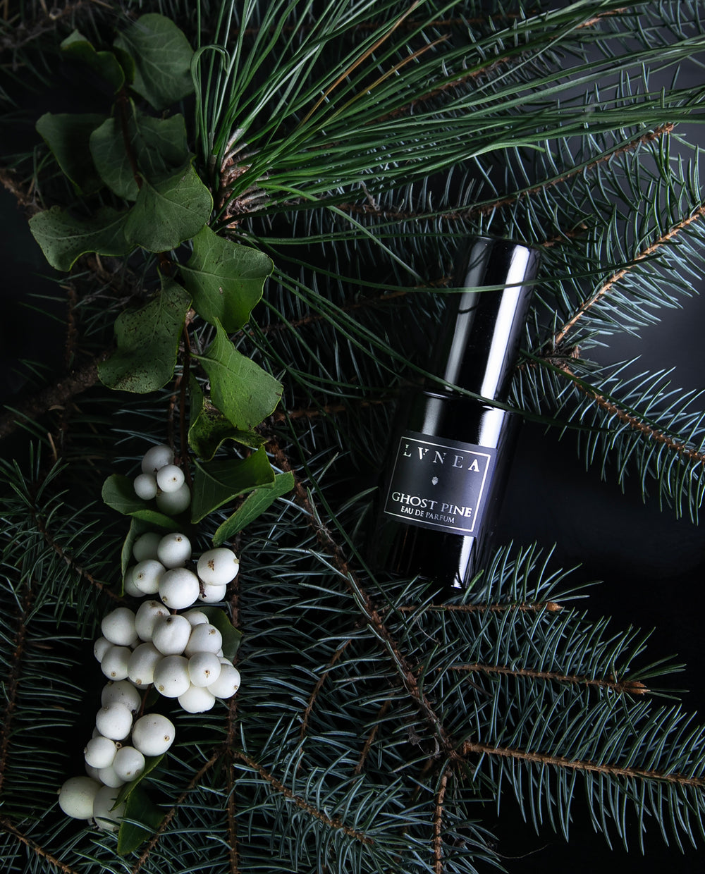 30ml black glass bottle of LVNEA's best-selling Ghost Pine fragrance, seen from above nestled in a bed of pine needles.