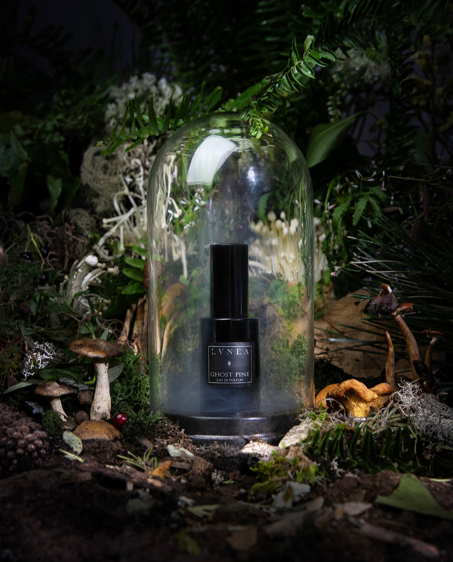 a 30ml black glass bottle of LVNEA's best-selling 'Ghost Pine' fragrance, in a bell jar surrounded by a fantasy forest still life scene featuring botanicals and mushrooms.