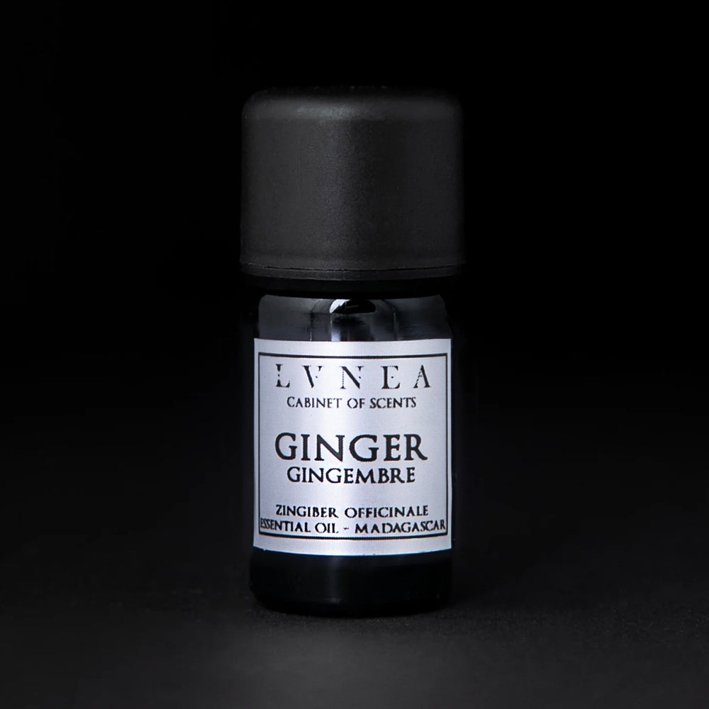 GINGER | Essential Oil