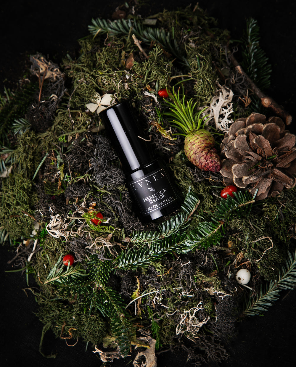 A 15ml black glass bottle of Hemlock Shade Eau de parfum seen from above, nestled amongst moss, pine cones, conifers, and other botanicals.