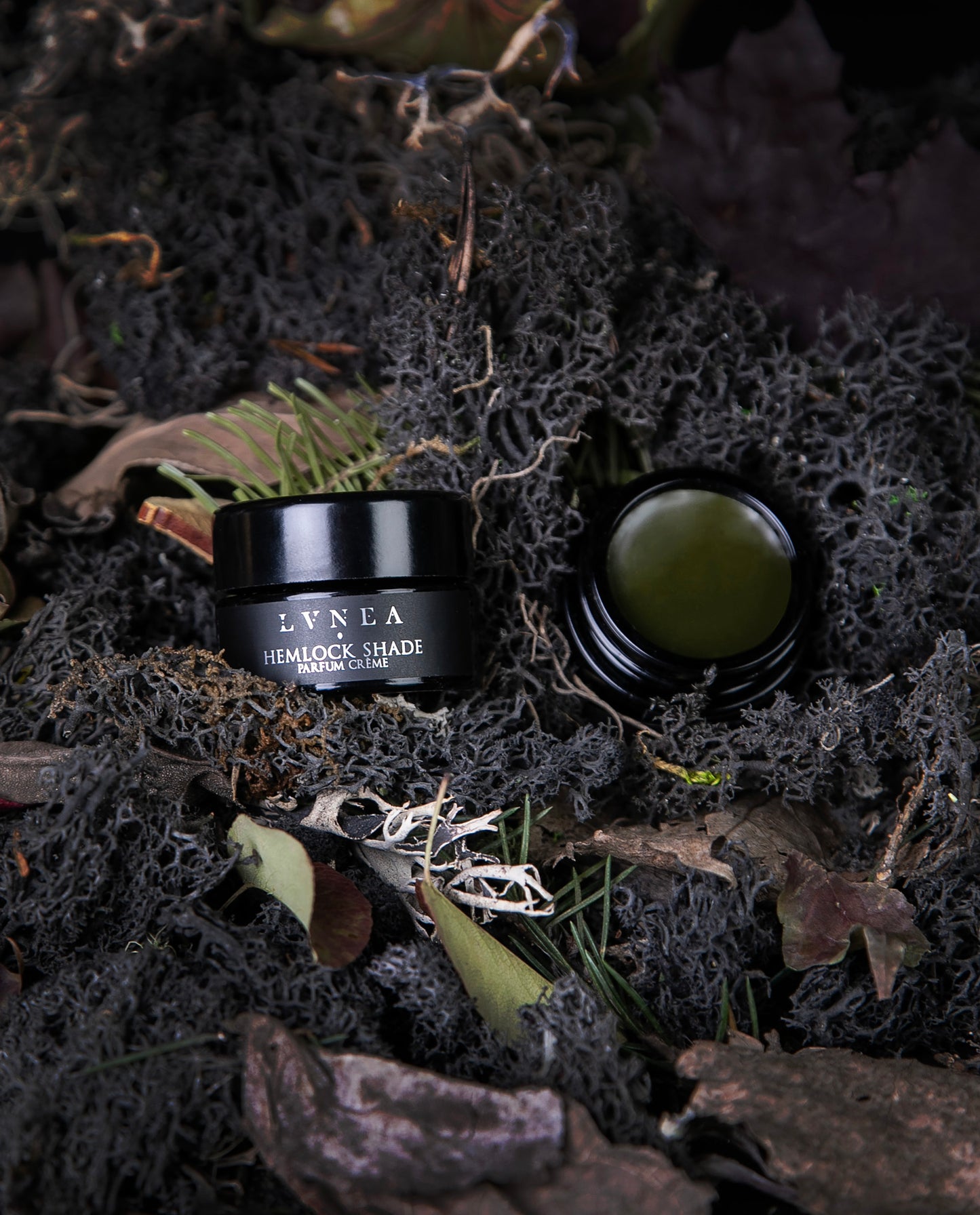 HEMLOCK SHADE | Parfum Crème - black spruce, hemlock, fir