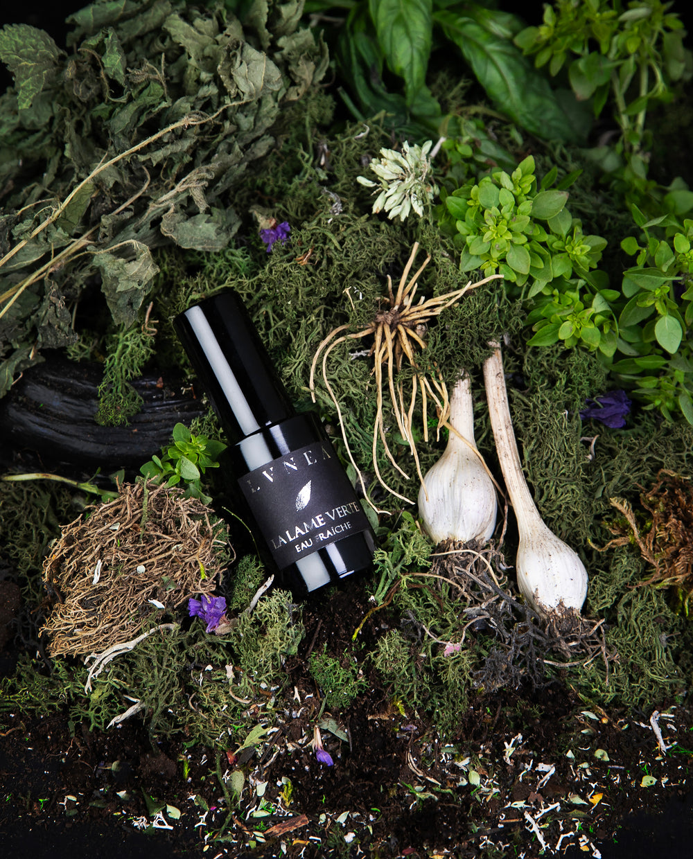 Close up of La Lame Verte eau fraîche, LVNEA's limited edition nettle perfume, sitting atop fresh earth and herbs, dried nettles, and other greenery.