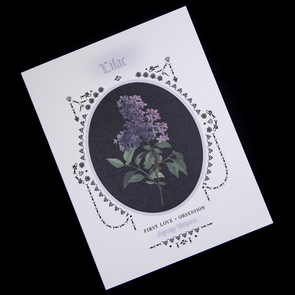 card with botanical illustration of lilacs against black background