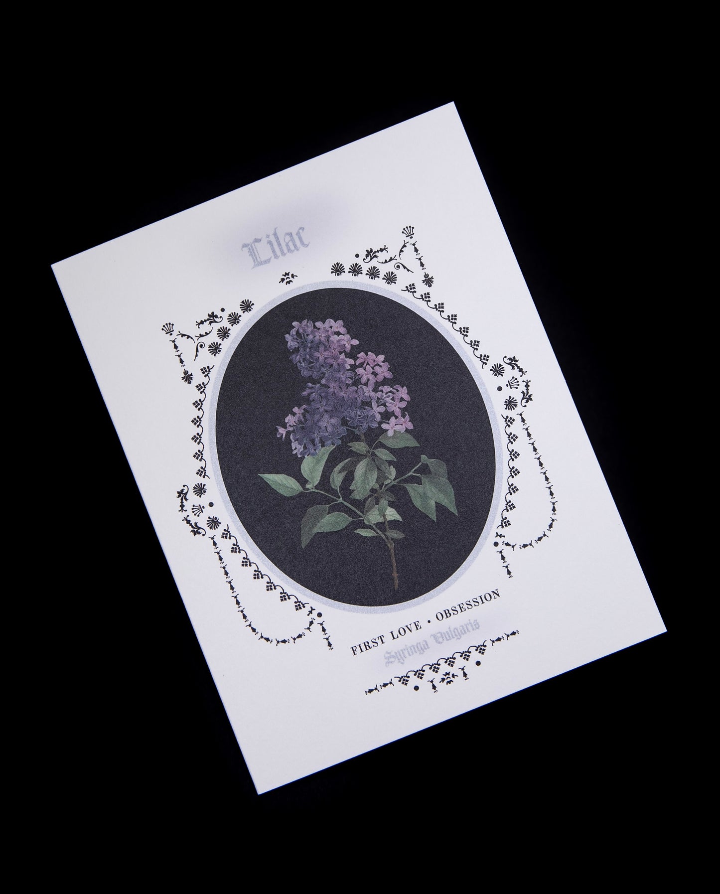 card with botanical illustration of lilacs against black background