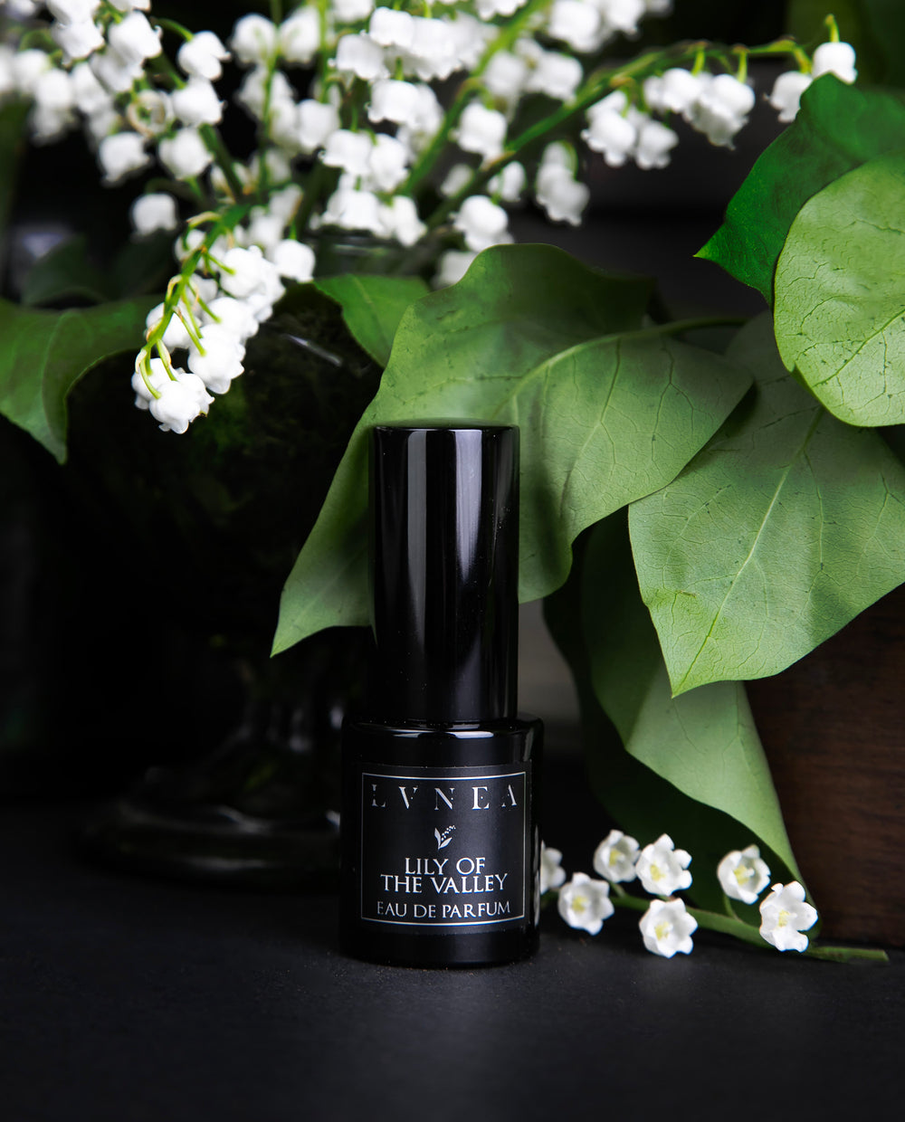 15ml black glass bottle of LVNEA's limited edition Lily of the Valley perfume, against a black background, surrounded by fresh lily of the valley and greenery