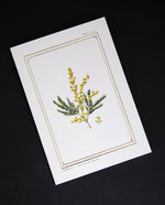 Cream-coloured card with gold foil border and illustration of a mimosa branch, sitting on black background