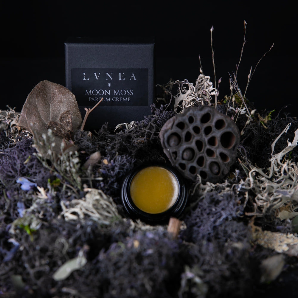 10g black glass jar of LVNEA's 'Moon Moss' solid perfume, open to reveal a golden balm. It is nestled amongst moss, lavender, and other botanicals.