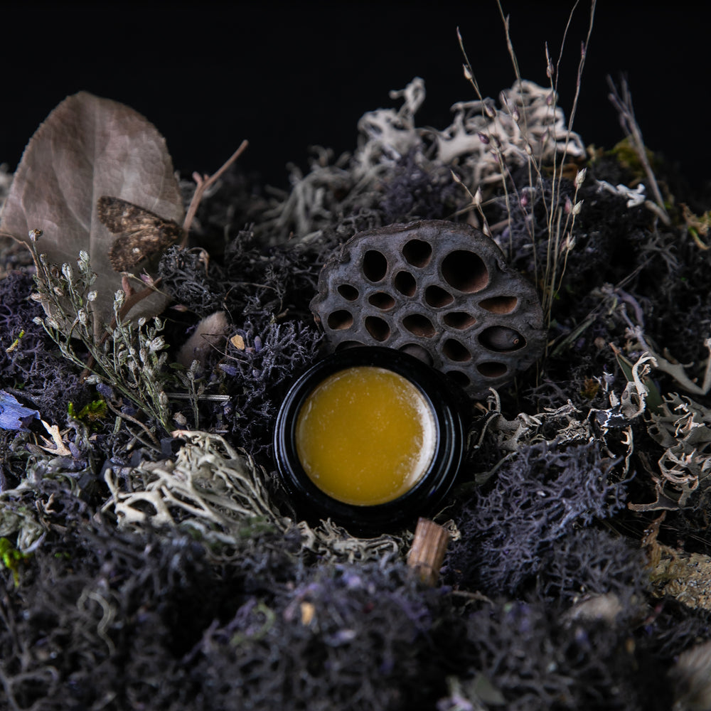 10g black glass jar of LVNEA's 'Moon Moss' solid perfume, open to reveal a golden balm. It is nestled amongst moss, lavender, and other botanicals.