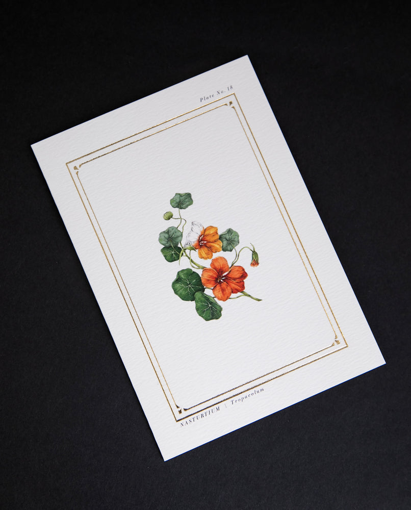 cream-coloured greeting card with gold foil border and illustration of nasturtiums, sitting on black background