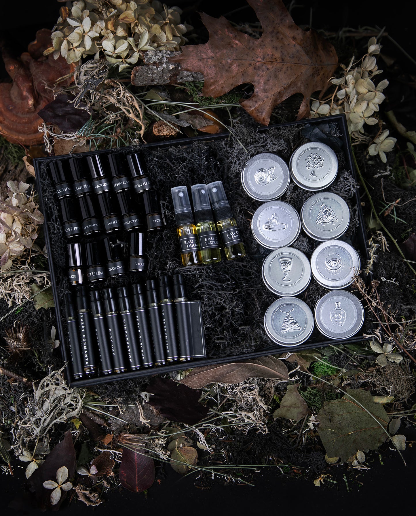 Sample set of LVNEA's entire signature line of perfumes in a black moss-ladden box, sitting on a bed of dead leaves and dried botanicals.