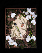 "Orchid" diorama; an overhead still life of fresh orchids, moss, and other specimens related to the floral fragrance family.