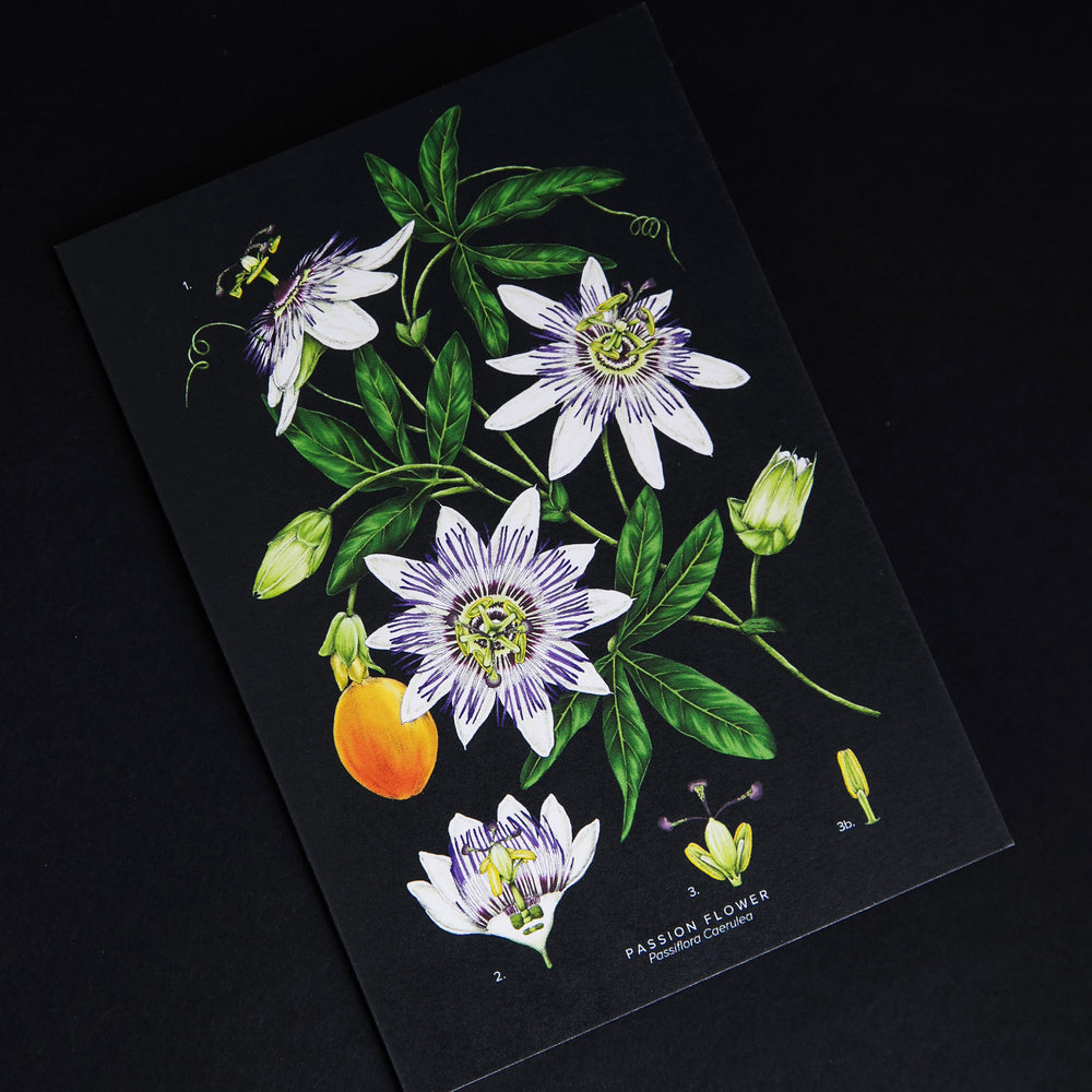 Greeting card with illustration of passion flower on black background