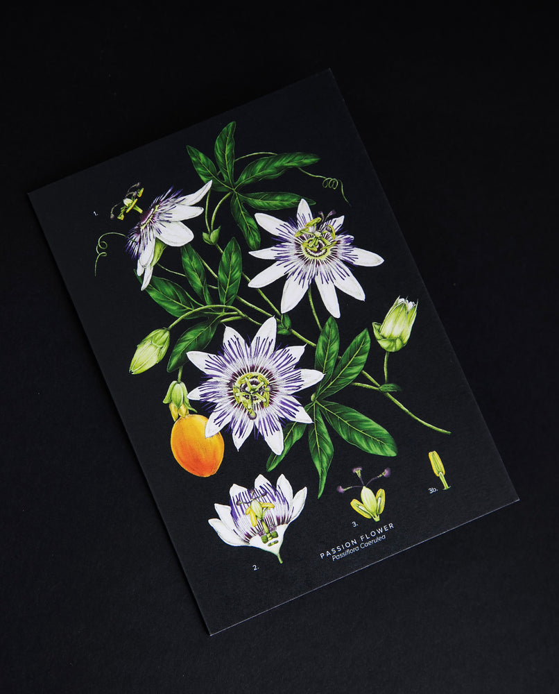 Greeting card with illustration of passion flower on black background