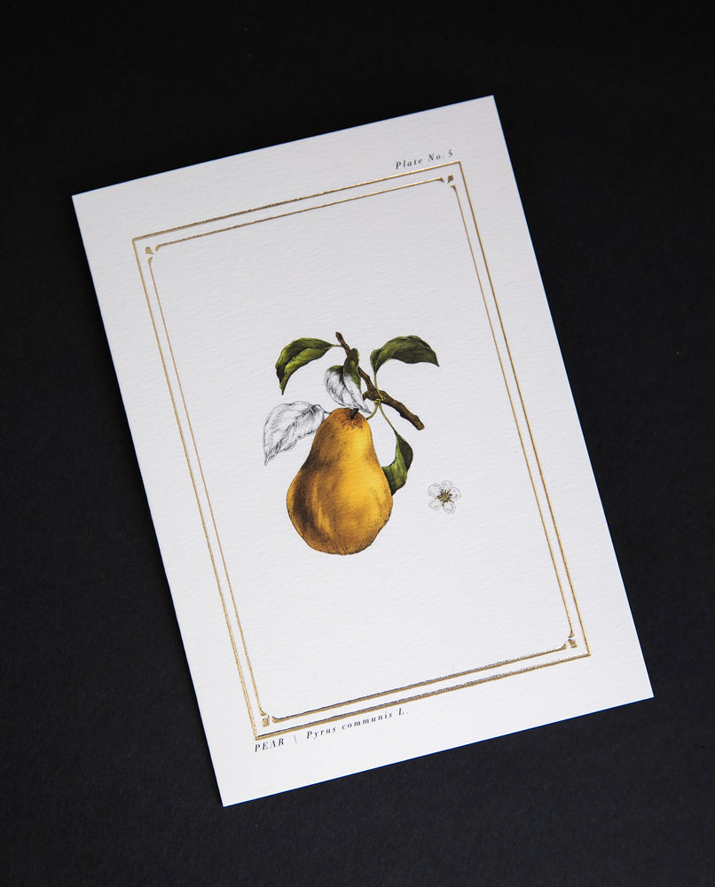 Cream-coloured card with gold foil border and illustration of a pear, sitting on black background