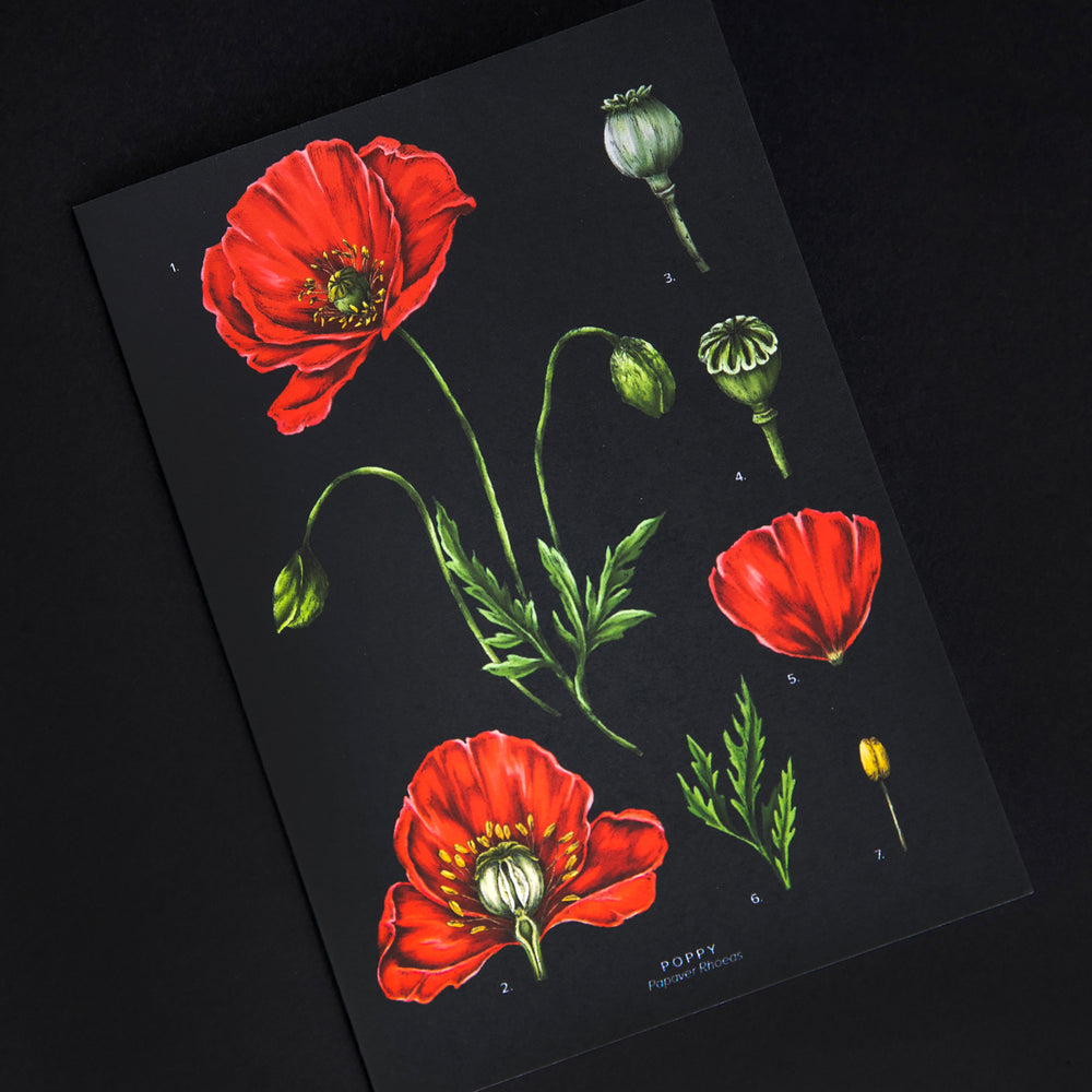 Greeting card featuring illustration of red poppies on a black background