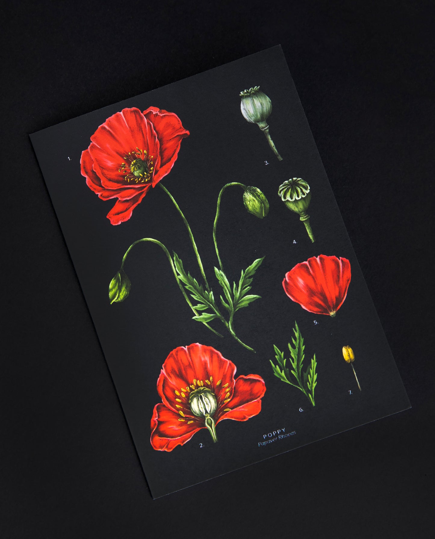 Greeting card featuring illustration of red poppies on a black background