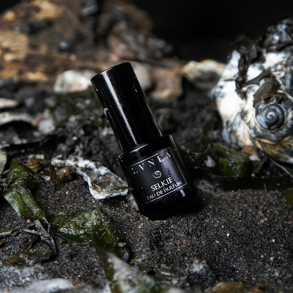 15ml black glass bottle of "Selkie" eau de parfum sitting on a bed of dark wet sand, surrounded by seashells, seaweed, and driftwood