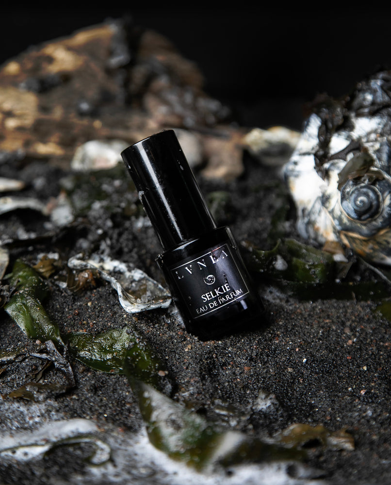 15ml black glass bottle of "Selkie" eau de parfum sitting on a bed of dark wet sand, surrounded by seashells, seaweed, and driftwood