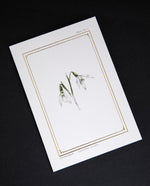 Cream-coloured greeting card with gold-foil border and illustration of snowdrops, sitting on black background