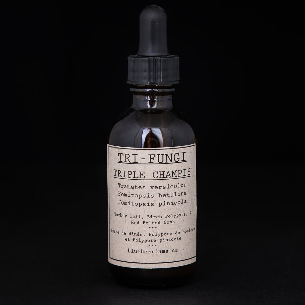 Tri-Fungi Tincture | BLUEBERRYJAMS