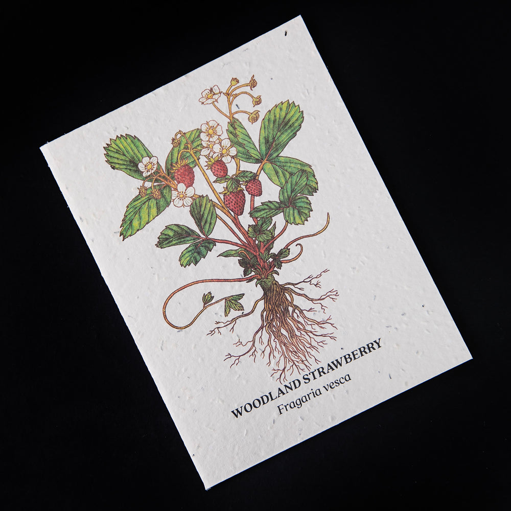 Woodland Strawberry Plantable Card | SMALL VICTORIES