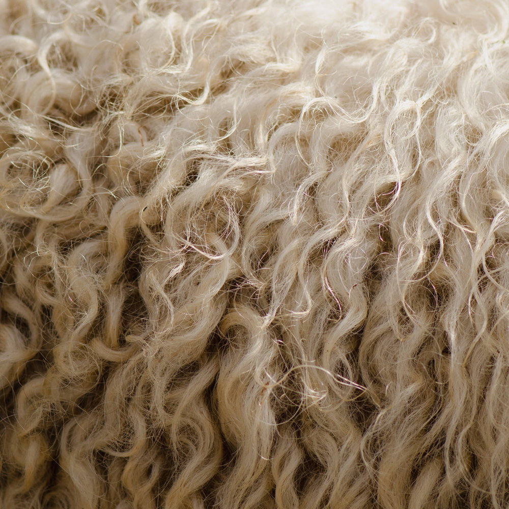 close up of sheeps fur