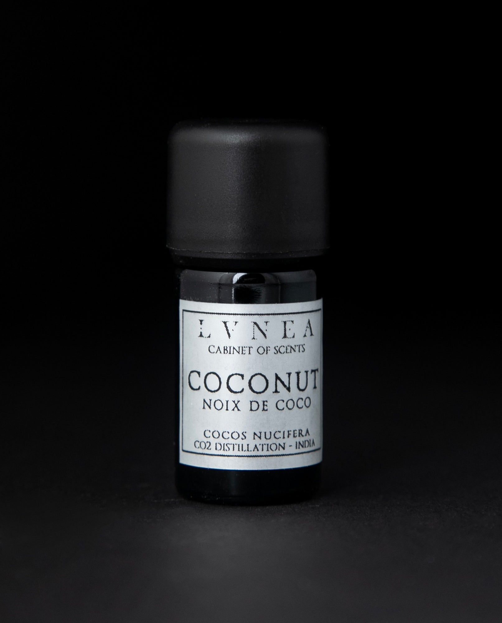 Black Coconut Scented Body Oil Fragrance [Roll-On - Clear Glass - Dark Grey  - 1/8 oz.]